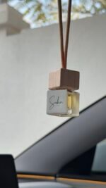 Car Hanging Diffuser